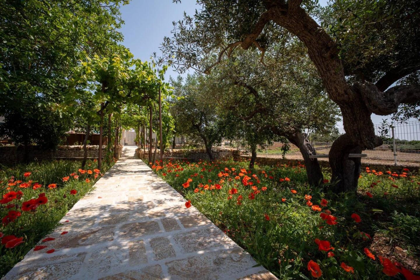 Valle D'Itria Trulli E Alcova Mikael Cisternino Zewnętrze zdjęcie